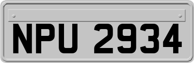 NPU2934