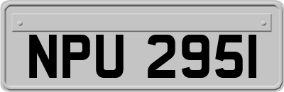 NPU2951