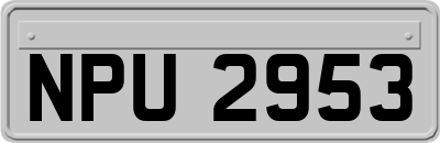 NPU2953