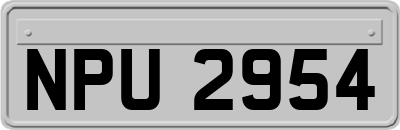 NPU2954