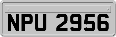 NPU2956