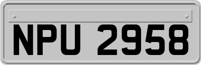 NPU2958
