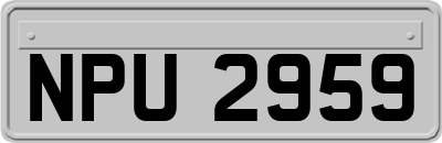NPU2959