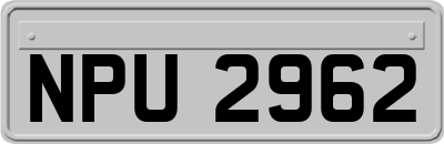 NPU2962