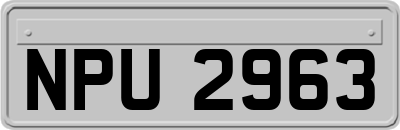 NPU2963