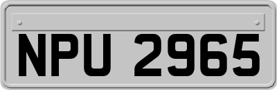 NPU2965