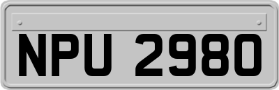 NPU2980