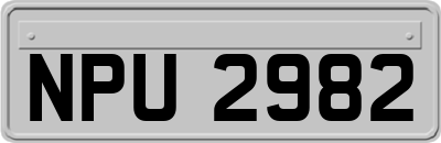 NPU2982