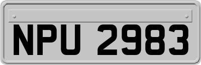 NPU2983