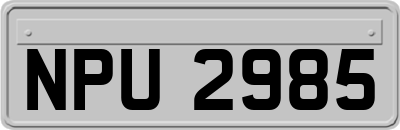 NPU2985