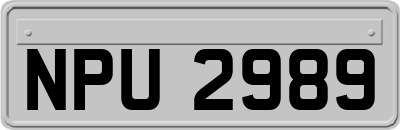 NPU2989