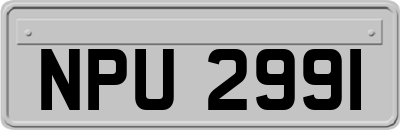 NPU2991