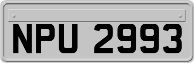 NPU2993