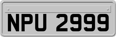 NPU2999