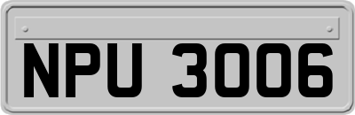 NPU3006