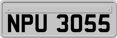 NPU3055