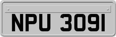 NPU3091