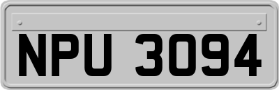 NPU3094