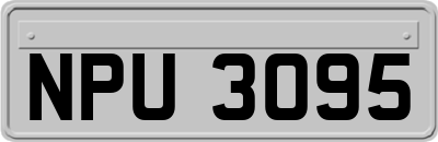 NPU3095