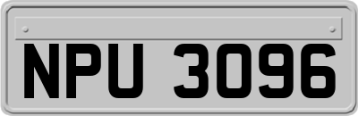 NPU3096