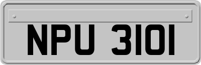 NPU3101