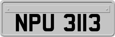 NPU3113
