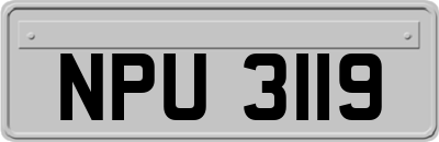 NPU3119