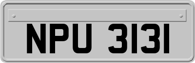 NPU3131