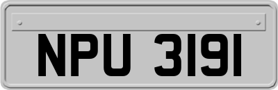 NPU3191