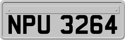NPU3264