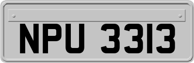 NPU3313
