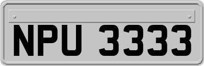 NPU3333