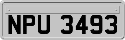 NPU3493