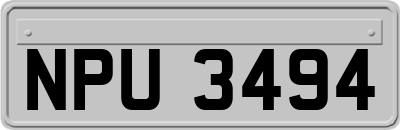 NPU3494