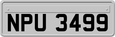 NPU3499