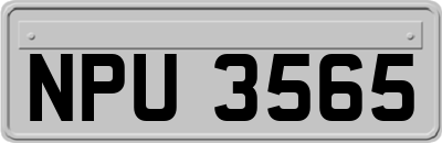 NPU3565