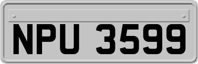 NPU3599