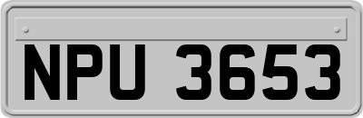 NPU3653