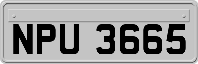 NPU3665