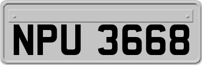 NPU3668