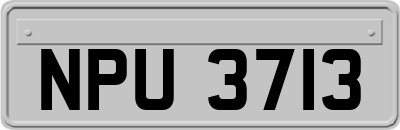 NPU3713