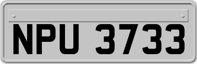 NPU3733
