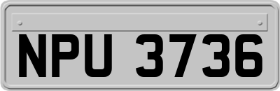 NPU3736