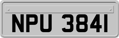 NPU3841