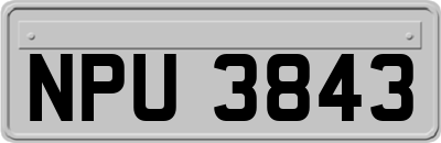 NPU3843