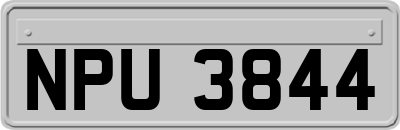 NPU3844