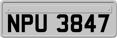 NPU3847