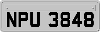 NPU3848