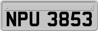 NPU3853