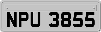 NPU3855